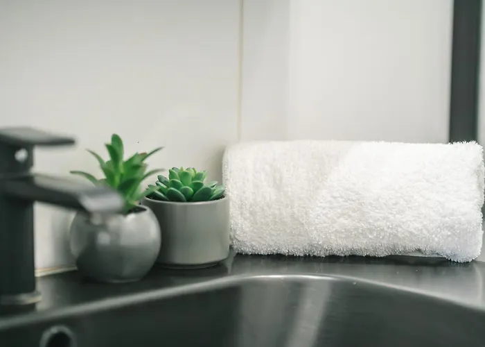 Apartment Magnifique T3-terrasse-parking-centre Ville-ad